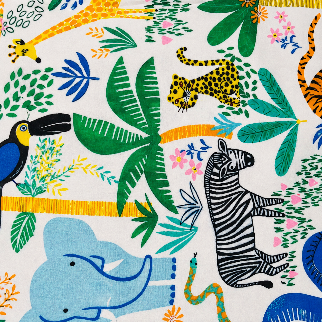 Woven Fabric