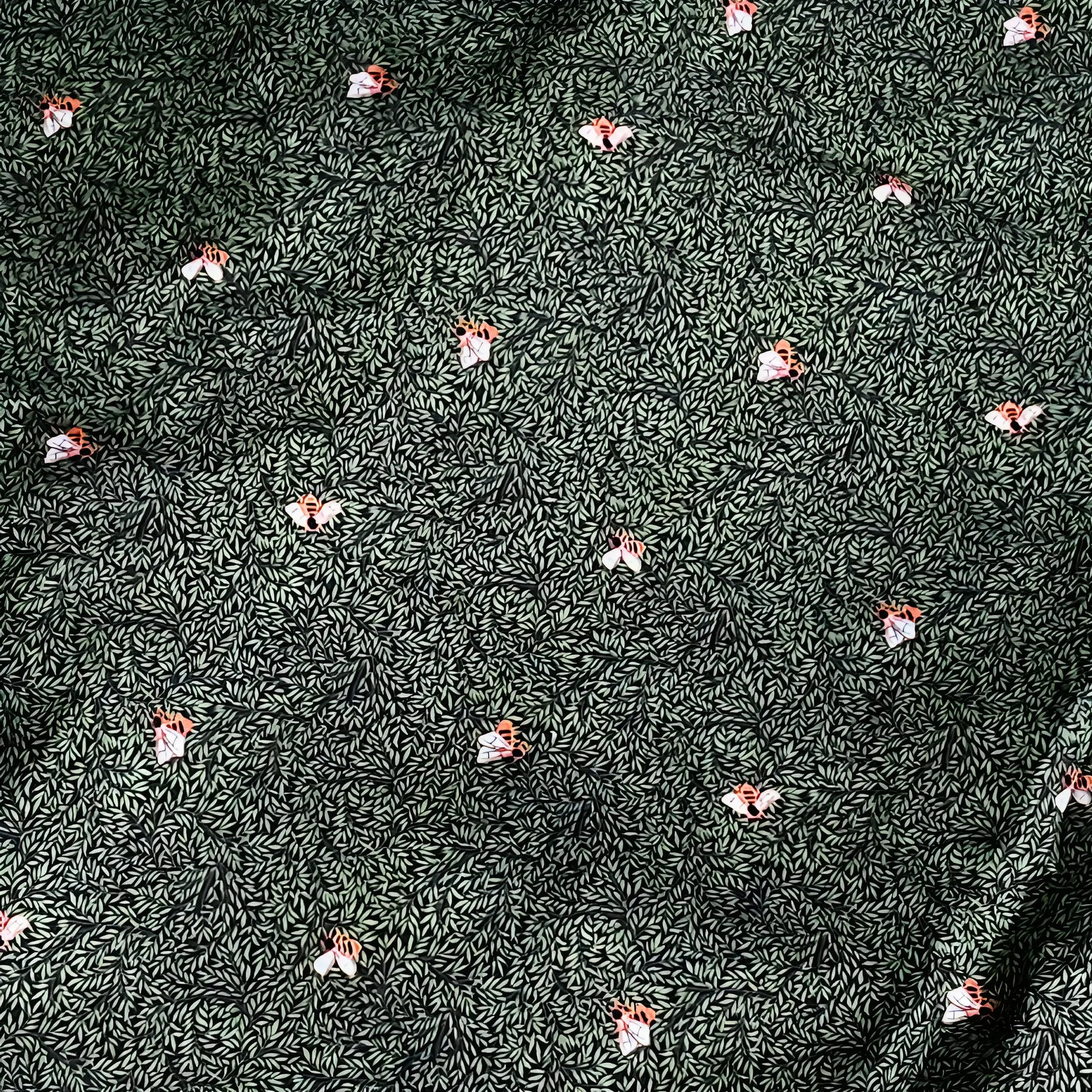 Organic Cotton Muslin - 150 GSM Bambzi